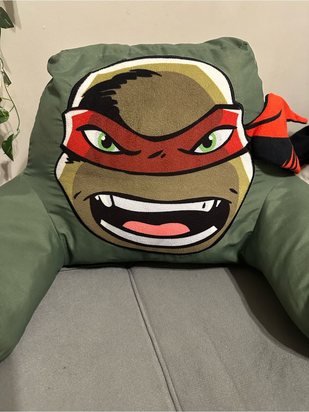 Raphael back rest pillow